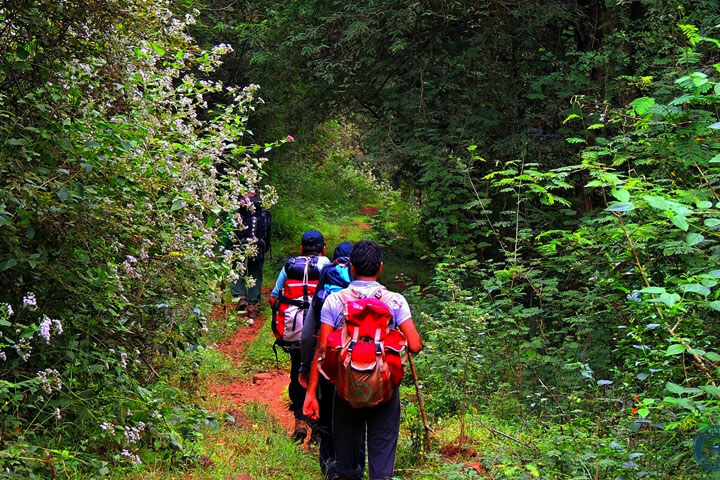 Trekking