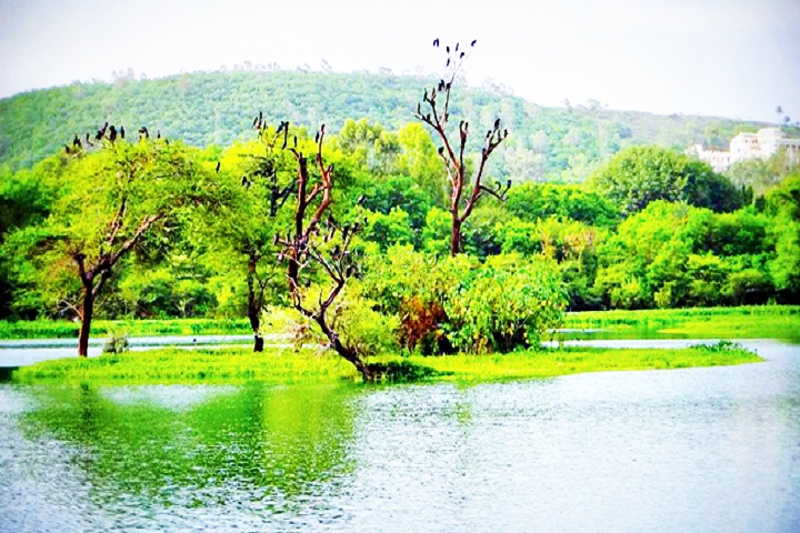 Pashan Lake
