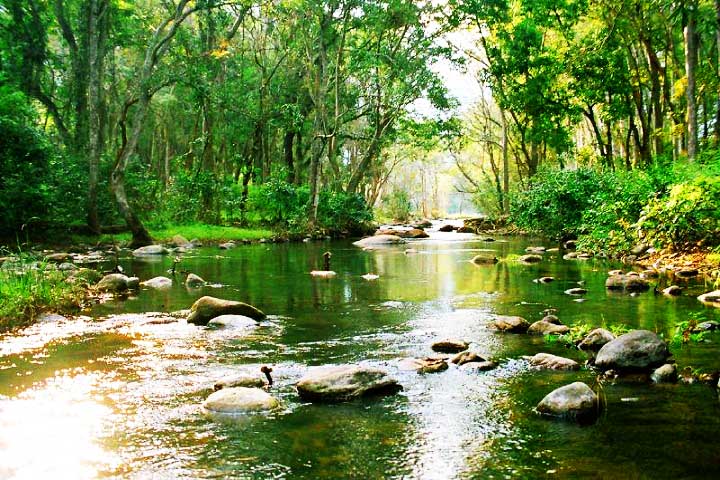 Chinnar Wildlife Sanctuary.