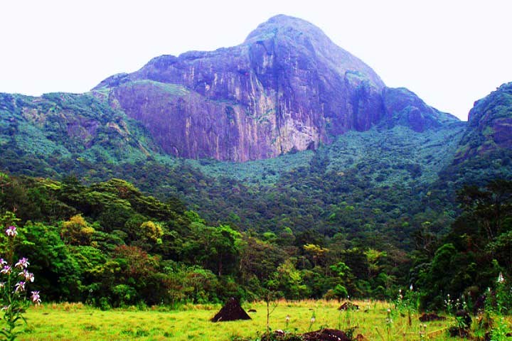 Agasthyakoodam Peak