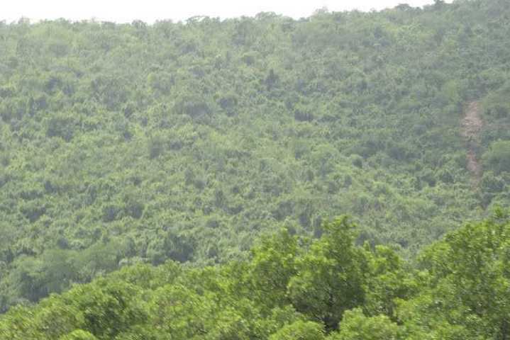 Simlipal National Park