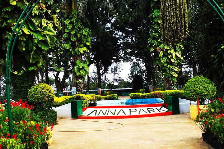 Anna Park
