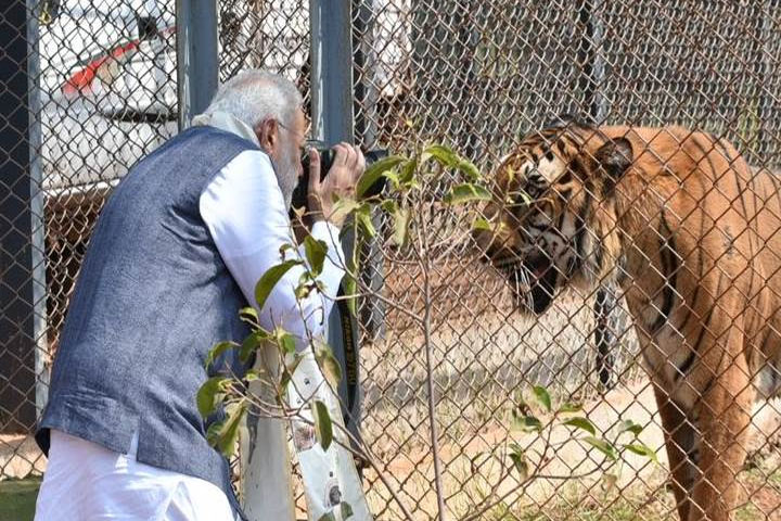 Nandanvan Jungle Safari