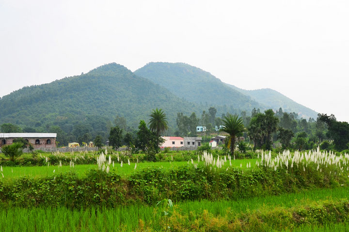 Susunia Hill