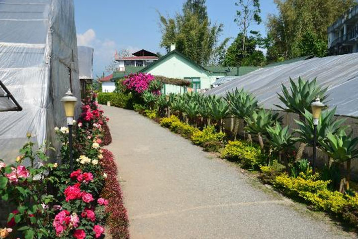 Nursery International