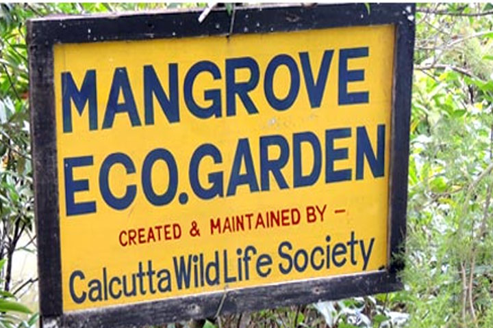 Mangrove Eco Garden