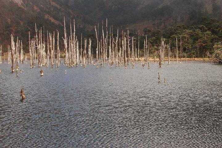 Madhuri Lake