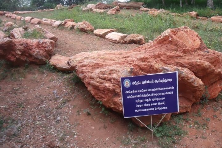 National Fossil Park