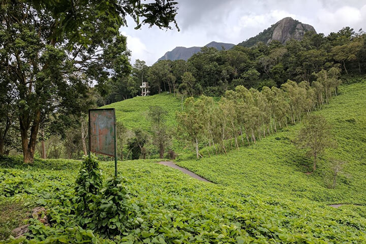 Neyyar Wildlife Sanctuary