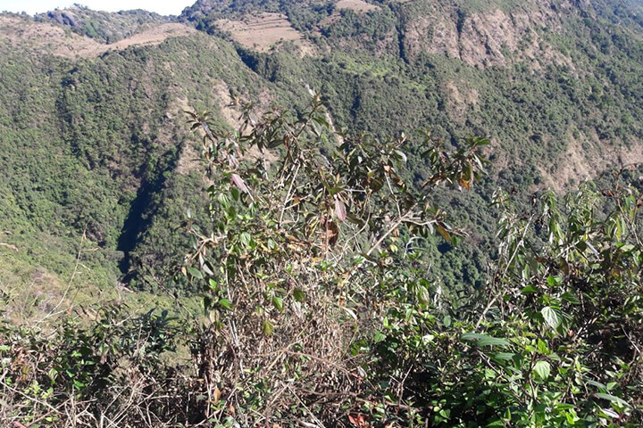 Laitlum Grand Canyon