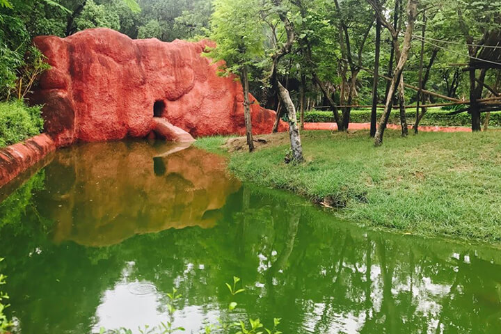 Nehru Zoological Park