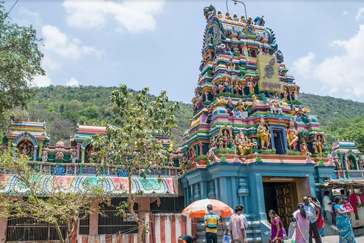 Pazhamudhircholai Murugan Temple