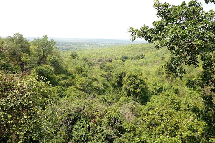 Phaladhara-Panchadhara