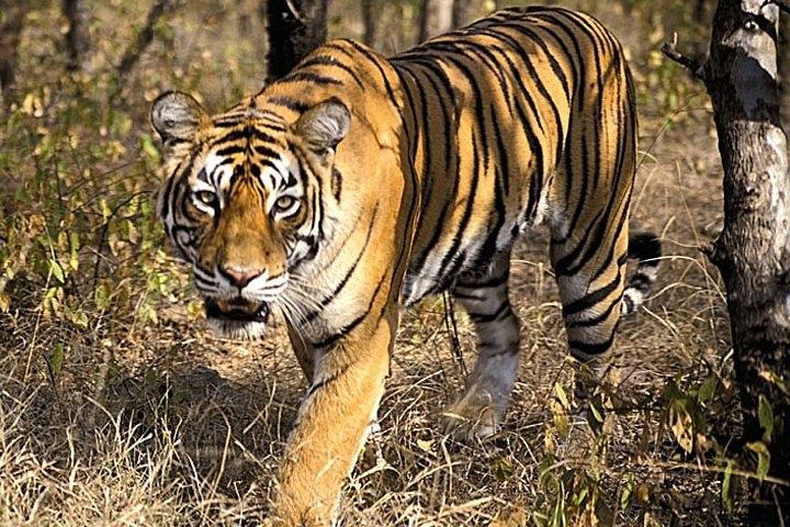 Kanger Valley National Park