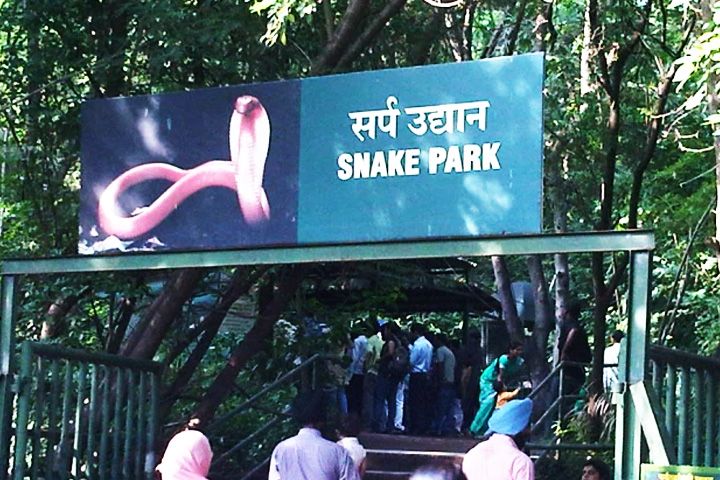 Katraj Snake Park