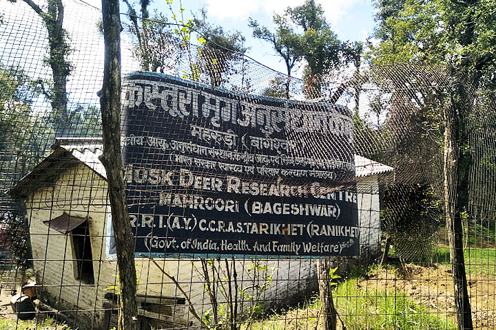 Musk Deer Breeding Farm