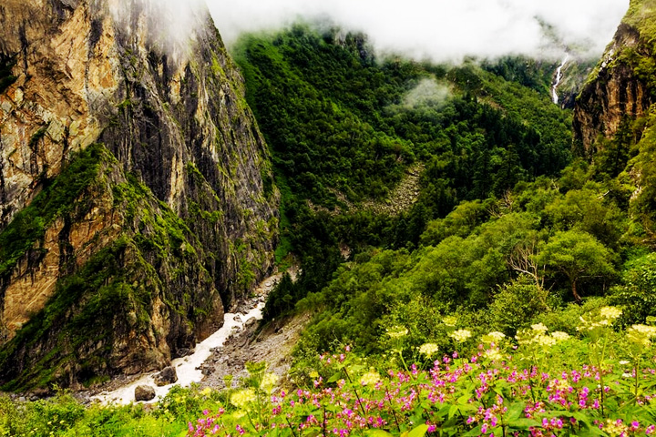 Nanda Devi National Park