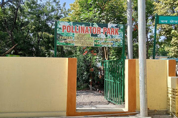 Pollinator Park (Biodiversity Park)