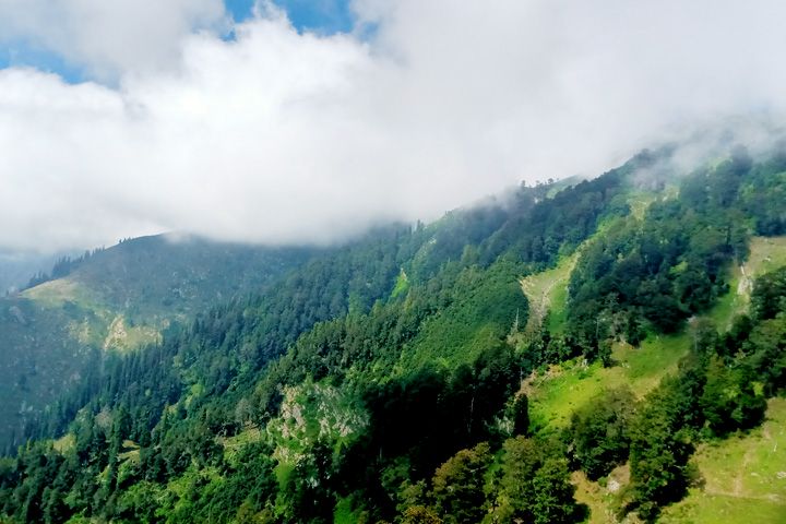 Churdhar Wildlife Sanctuary