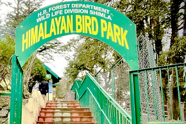 Himalayan Bird Park