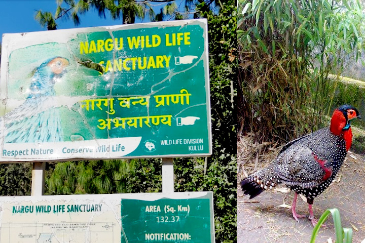 Nargu Wildlife Sanctuary