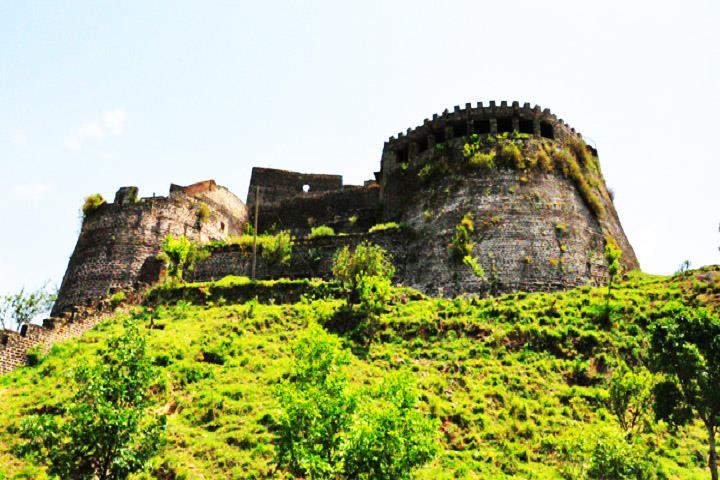 Himalayan Beauty Solan