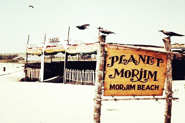Morjim Beach
