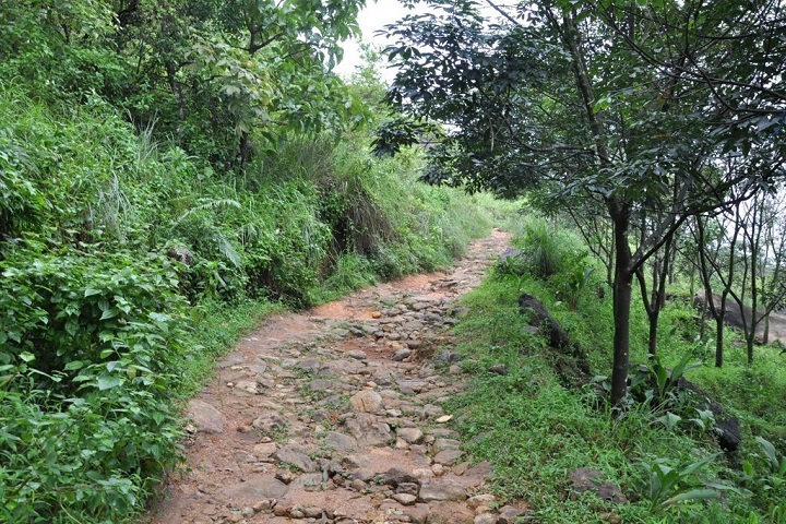 Elaveezha Poonchira