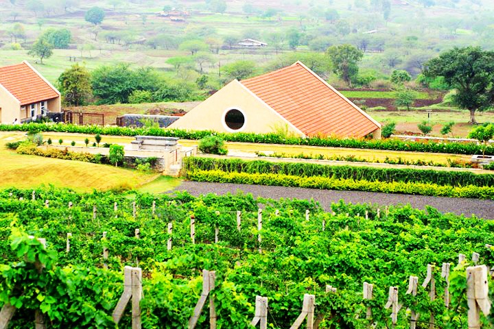 Grover Zampa Vineyards