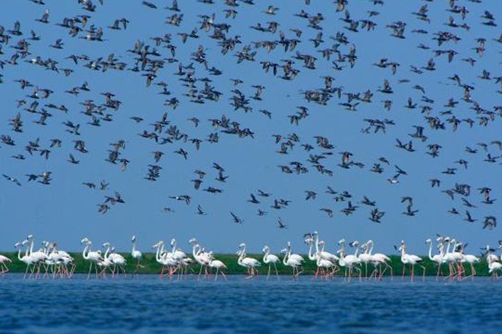 Chilika Lake