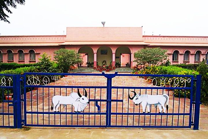 Archaeological Museum Kalibangan