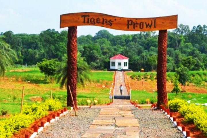 Herbal garden jhansi