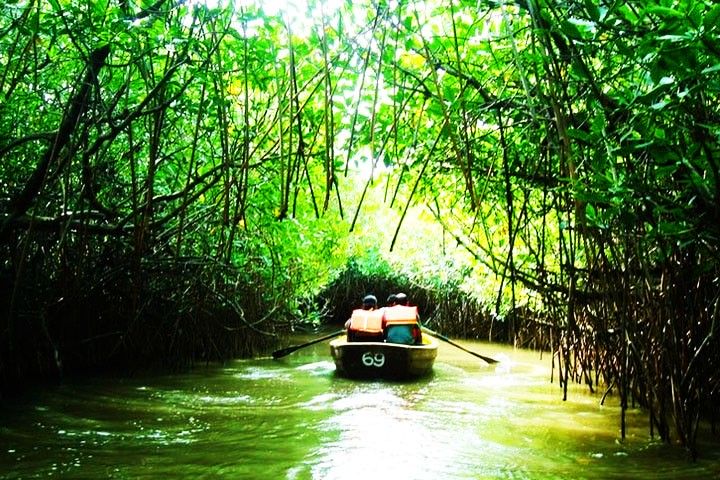 Pichavaram Mangrove Forest