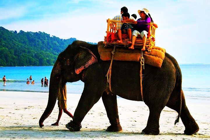 Elephant Beach