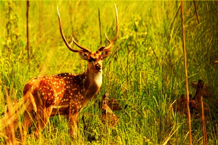 Barda Hills Wildlife Sanctuary