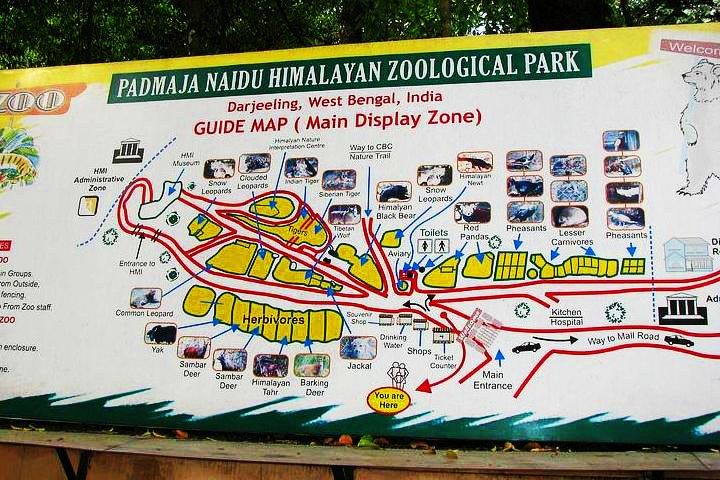 Padmaja Naidu Himalayan Zoological Park
