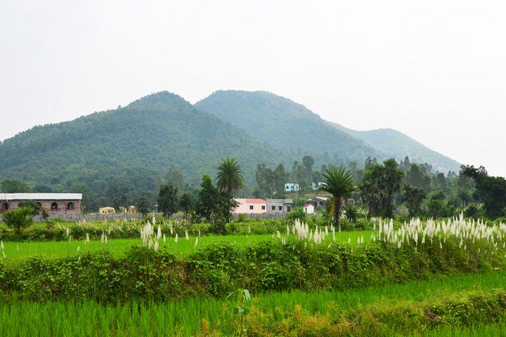 Susunia Hill