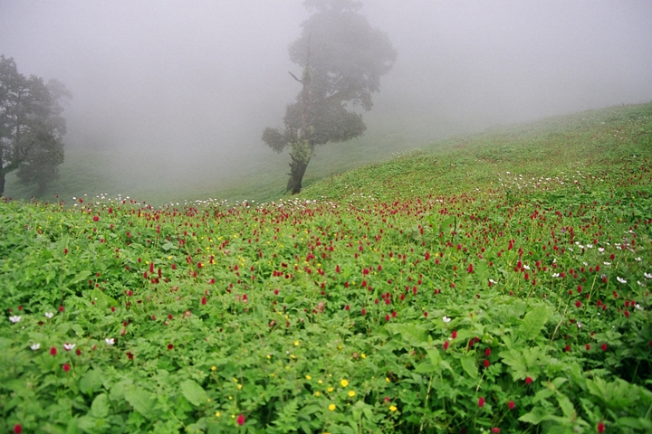 TREKKING IN AKOLA (MAHARASHTRA)