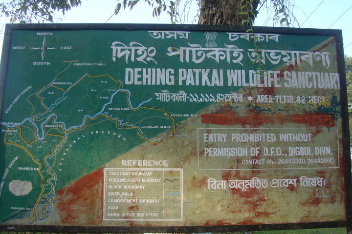 Dehing Patkai Wildlife Sanctuary