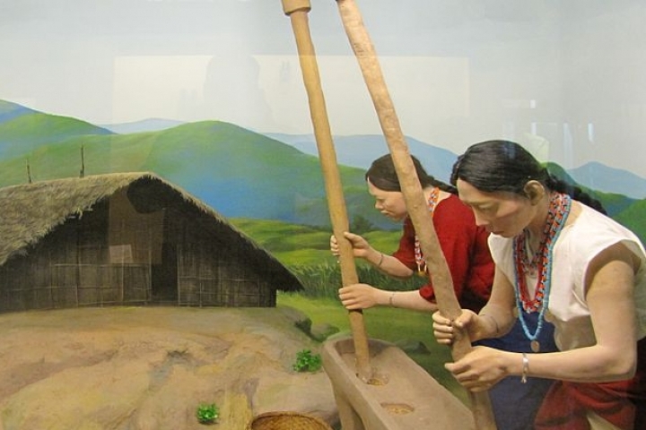 Jawaharlal Nehru State Museum