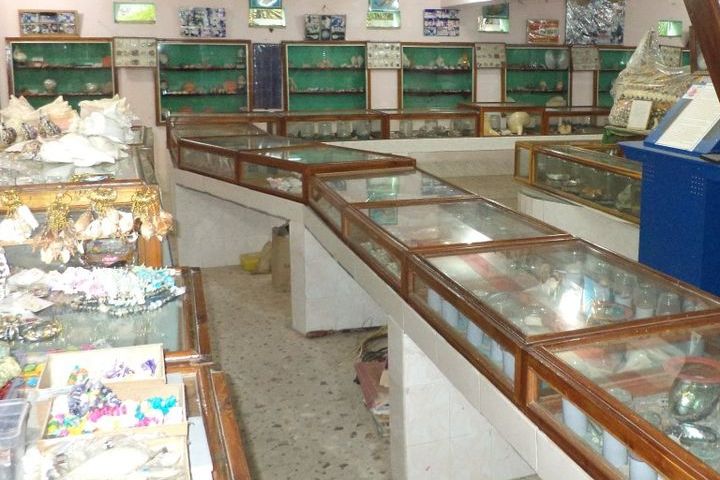 Shell Museum