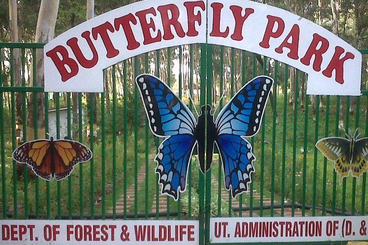 Butterfly Park