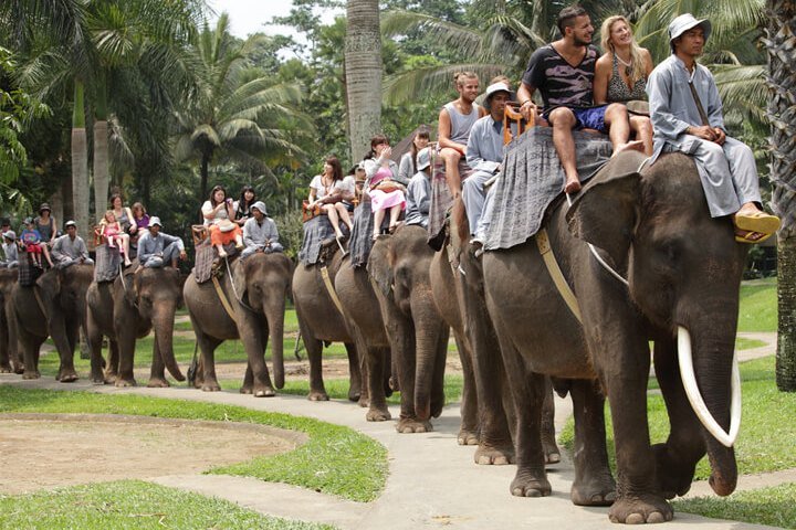 JEEP SAFARI IN BANDHAVGARH NATIONAL PARK