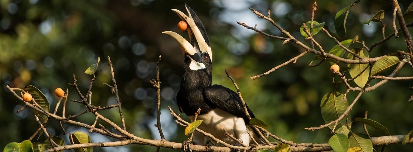 Papikonda National Park