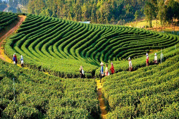 JEEP SAFARI IN SIKKIM
