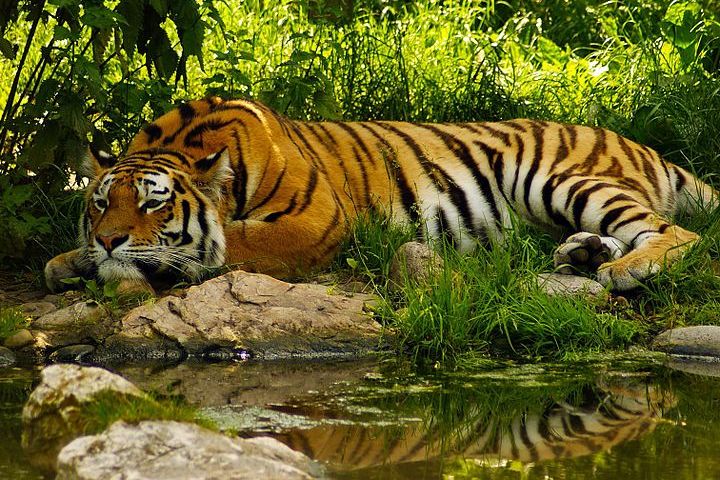 Renuka Wildlife Sanctuary