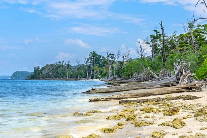 radhanagar beach andaman