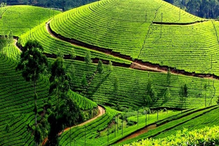 Munnar