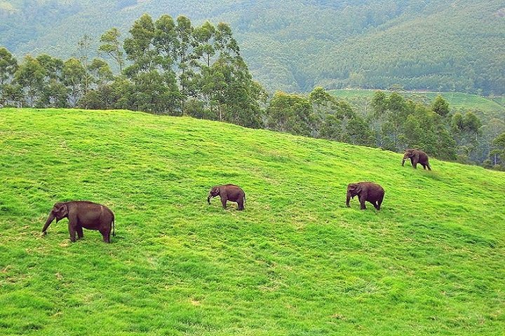 Ponmudi