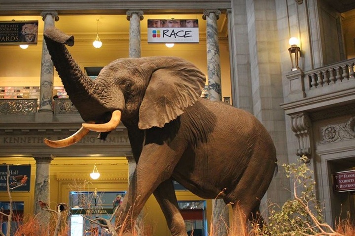 The National Museum Maldives